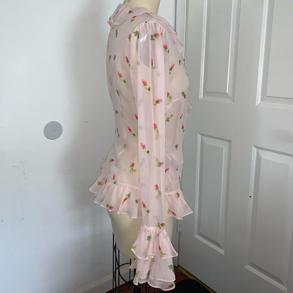 Sheer Blouse - Picture 2 of 5